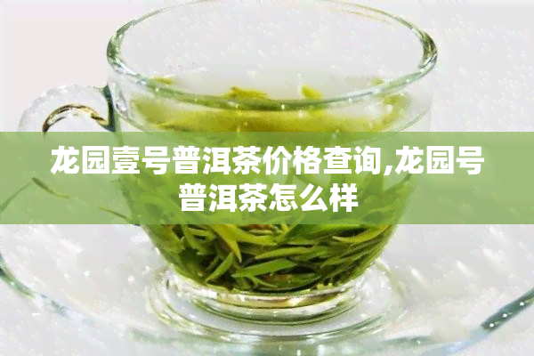 龙园壹号普洱茶价格查询,龙园号普洱茶怎么样