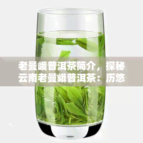 老曼峨普洱茶简介，探秘云南老曼峨普洱茶：历悠久，口感独特的名茶