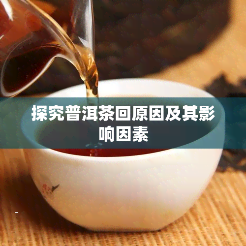 探究普洱茶回原因及其影响因素