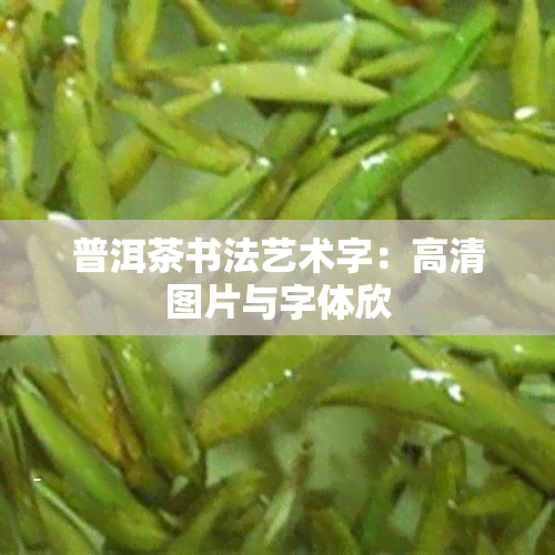 普洱茶书法艺术字：高清图片与字体欣