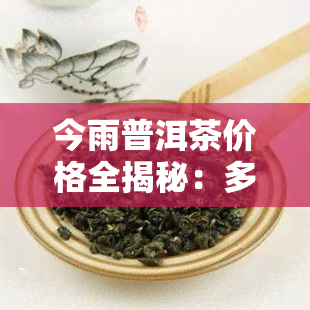 今雨普洱茶价格全揭秘：多少钱一斤/瓶？