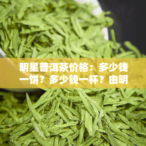 明星普洱茶价格：多少钱一饼？多少钱一杯？由明星代言的普洱茶价格又是多少呢？