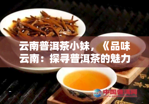 云南普洱茶小妹，《品味云南：探寻普洱茶的魅力》