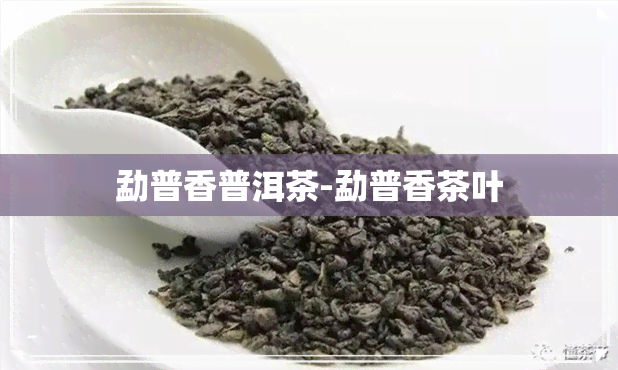 勐普香普洱茶-勐普香茶叶