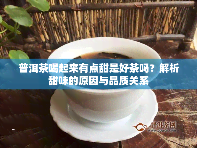 普洱茶喝起来有点甜是好茶吗？解析甜味的原因与品质关系