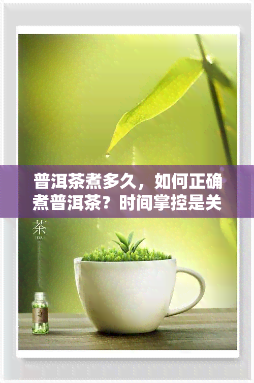 普洱茶煮多久，如何正确煮普洱茶？时间掌控是关键！