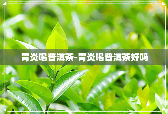 胃炎喝普洱茶-胃炎喝普洱茶好吗