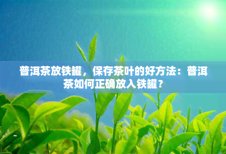 普洱茶放铁罐，保存茶叶的好方法：普洱茶如何正确放入铁罐？