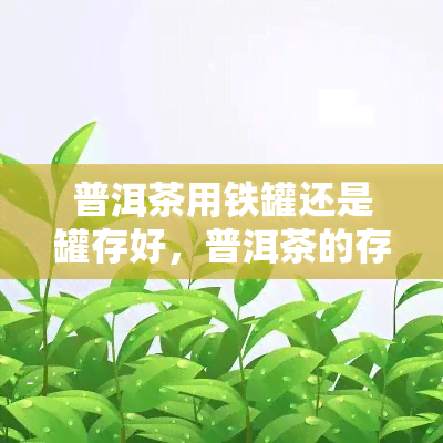 普洱茶用铁罐还是罐存好，普洱茶的存容器选择：铁罐or罐？