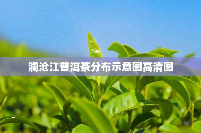 澜沧江普洱茶分布示意图高清图