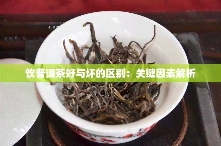 饮普洱茶好与坏的区别：关键因素解析