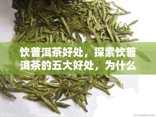 饮普洱茶好处，探索饮普洱茶的五大好处，为什么它值得你每天饮用？