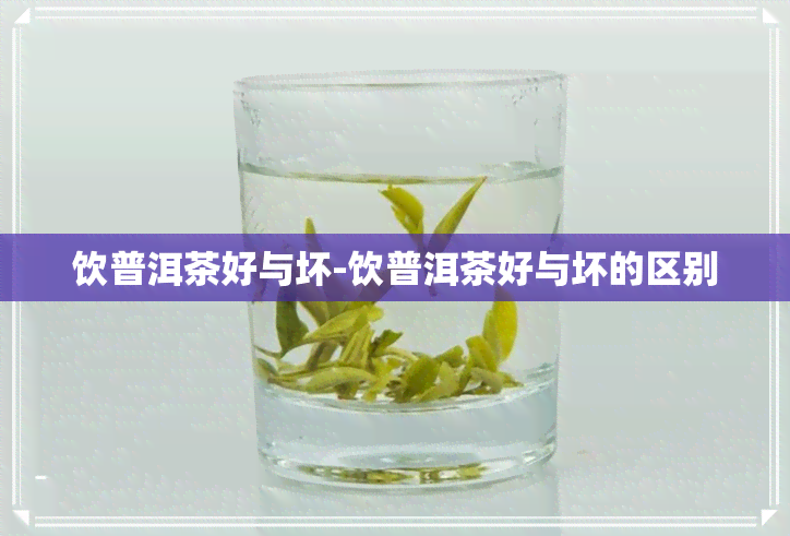 饮普洱茶好与坏-饮普洱茶好与坏的区别