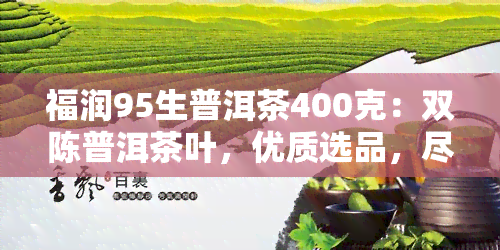 福润95生普洱茶400克：双陈普洱茶叶，优质选品，尽享醇厚口感！