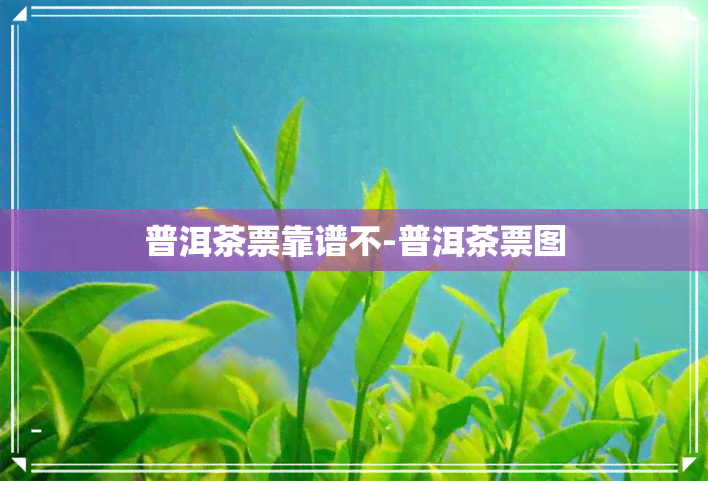 普洱茶票靠谱不-普洱茶票图