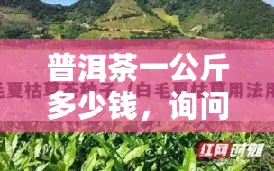 普洱茶一公斤多少钱，询问普洱茶价格：一公斤要多少？