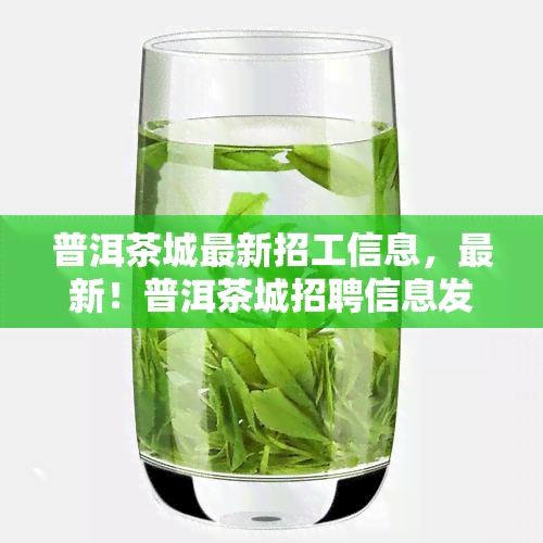 普洱茶城最新招工信息，最新！普洱茶城招聘信息发布，速来应聘！