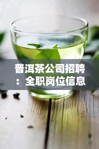 普洱茶公司招聘：全职岗位信息一览