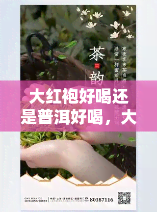 大红袍好喝还是普洱好喝，大红袍 vs 普洱：谁才是你的茶饮心头好？