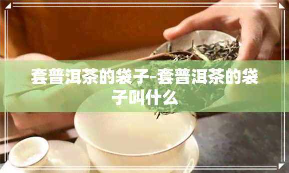 套普洱茶的袋子-套普洱茶的袋子叫什么