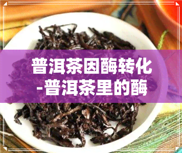 普洱茶因酶转化-普洱茶里的酶