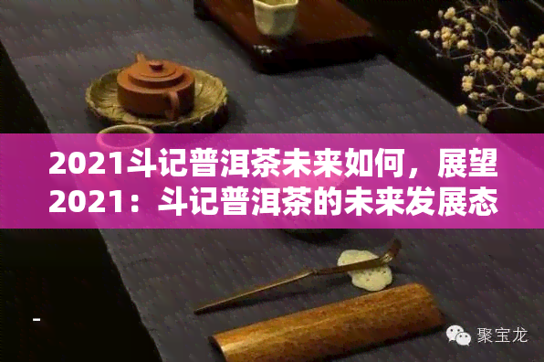 2021斗记普洱茶未来如何，展望2021：斗记普洱茶的未来发展态势