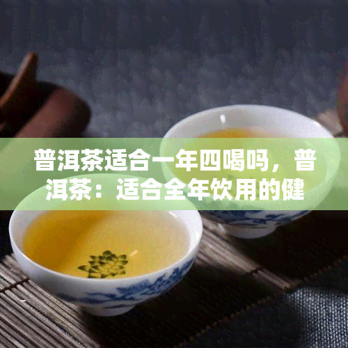 普洱茶适合一年四喝吗，普洱茶：适合全年饮用的健选择