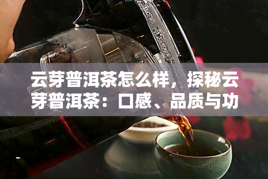 云芽普洱茶怎么样，探秘云芽普洱茶：口感、品质与功效全解析