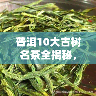 普洱10大古树名茶全揭秘，不可错过的茶中珍品