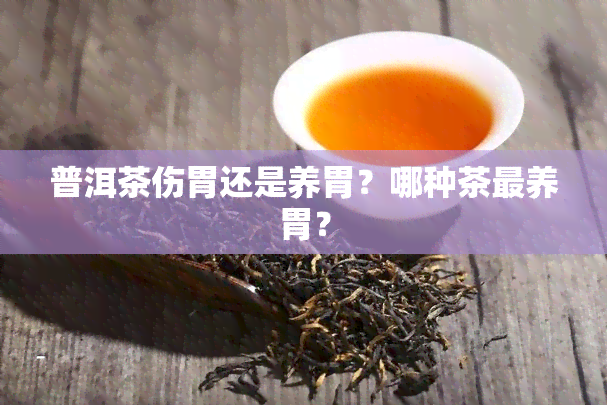 普洱茶伤胃还是养胃？哪种茶最养胃？