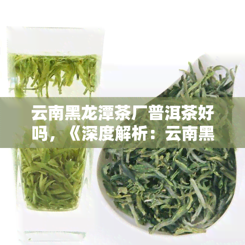 云南黑龙潭茶厂普洱茶好吗，《深度解析：云南黑龙潭茶厂普洱茶的品质和口感》