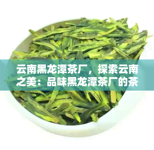 云南黑龙潭茶厂，探索云南之美：品味黑龙潭茶厂的茶叶