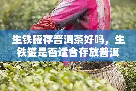 生铁罐存普洱茶好吗，生铁罐是否适合存放普洱茶？探讨其优缺点与注意事