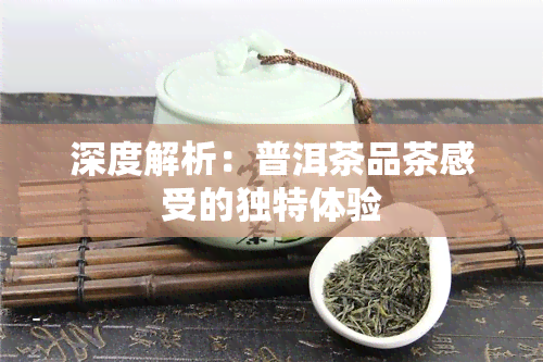 深度解析：普洱茶品茶感受的独特体验