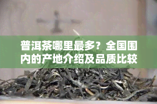 普洱茶哪里最多？全国围内的产地介绍及品质比较