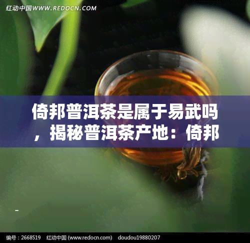 倚邦普洱茶是属于易武吗，揭秘普洱茶产地：倚邦普洱茶是否属于易武？