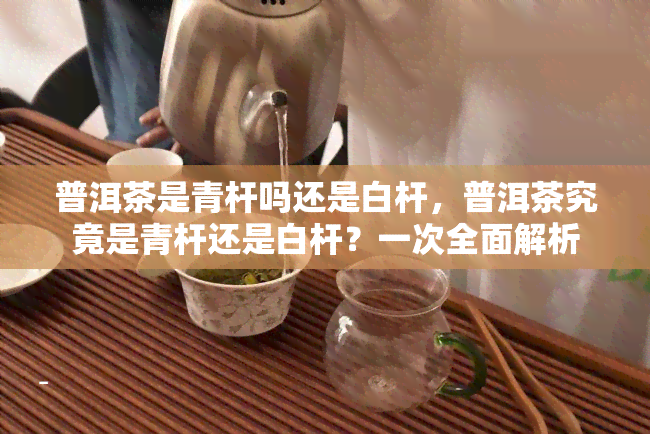 普洱茶是青杆吗还是白杆，普洱茶究竟是青杆还是白杆？一次全面解析