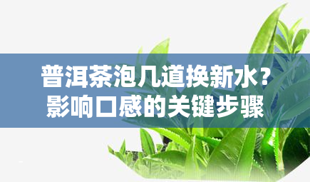 普洱茶泡几道换新水？影响口感的关键步骤解析