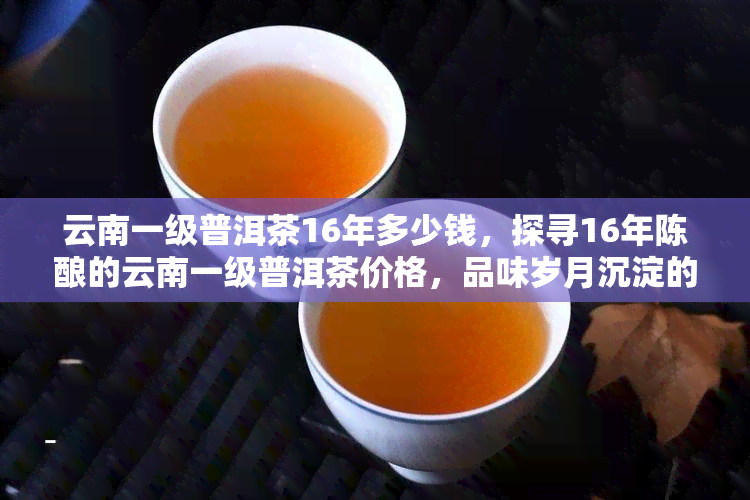 云南一级普洱茶16年多少钱，探寻16年陈酿的云南一级普洱茶价格，品味岁月沉淀的独特韵味