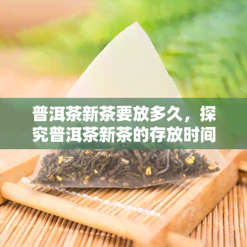 普洱茶新茶要放多久，探究普洱茶新茶的存放时间：你需要知道的一切