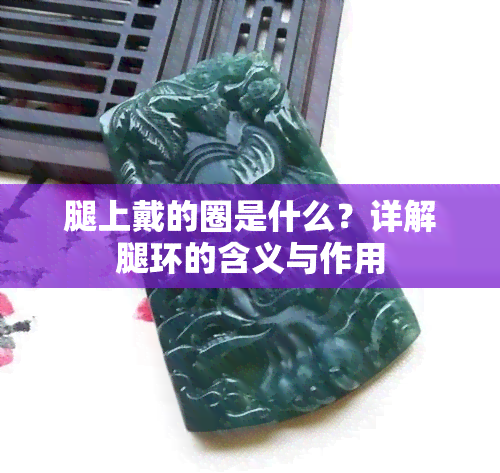 腿上戴的圈是什么？详解腿环的含义与作用