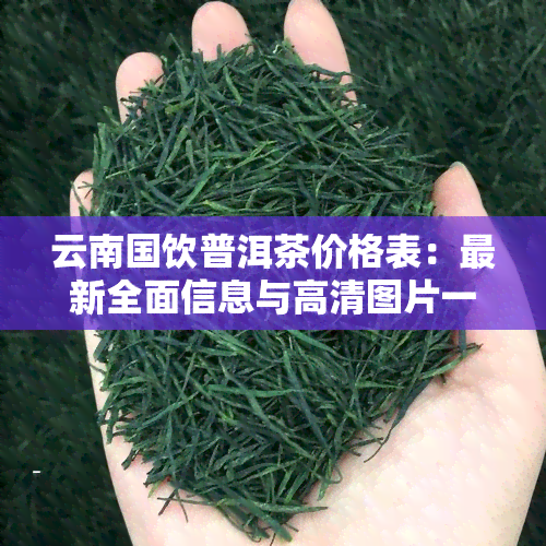 云南国饮普洱茶价格表：最新全面信息与高清图片一览