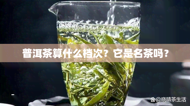 普洱茶算什么档次？它是名茶吗？