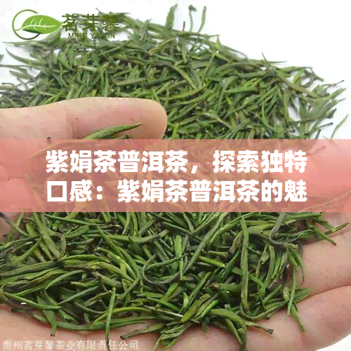 紫娟茶普洱茶，探索独特口感：紫娟茶普洱茶的魅力与特性