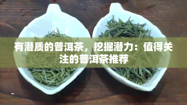 有潜质的普洱茶，挖掘潜力：值得关注的普洱茶推荐