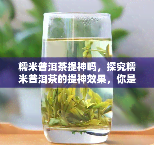 糯米普洱茶提神吗，探究糯米普洱茶的提神效果，你是否应该尝试？