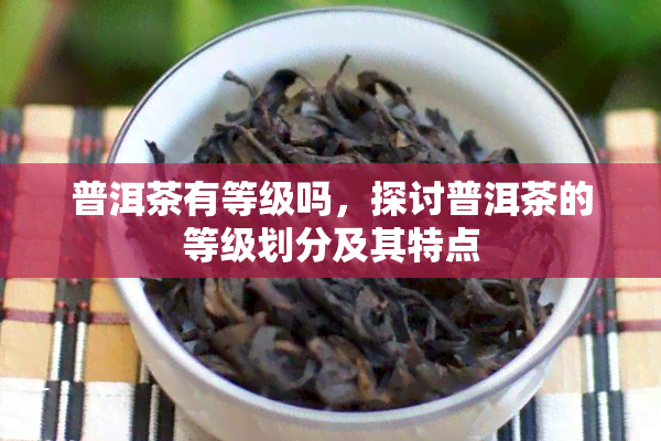 普洱茶有等级吗，探讨普洱茶的等级划分及其特点