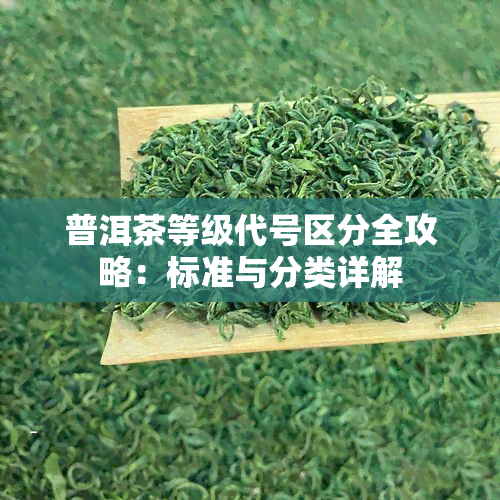 普洱茶等级代号区分全攻略：标准与分类详解