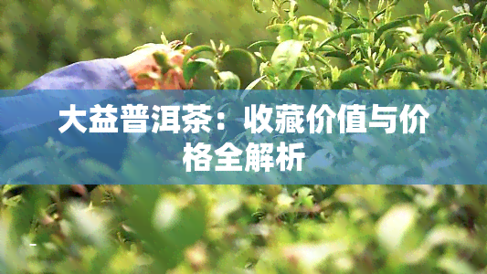 大益普洱茶：收藏价值与价格全解析