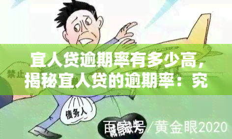 宜人贷逾期率有多少高，揭秘宜人贷的逾期率：究竟有多高？